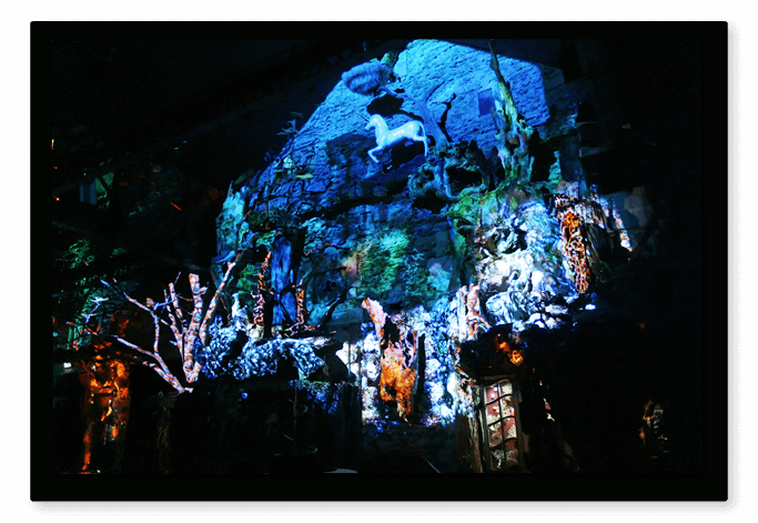 Projection du Jeu de la Licorne