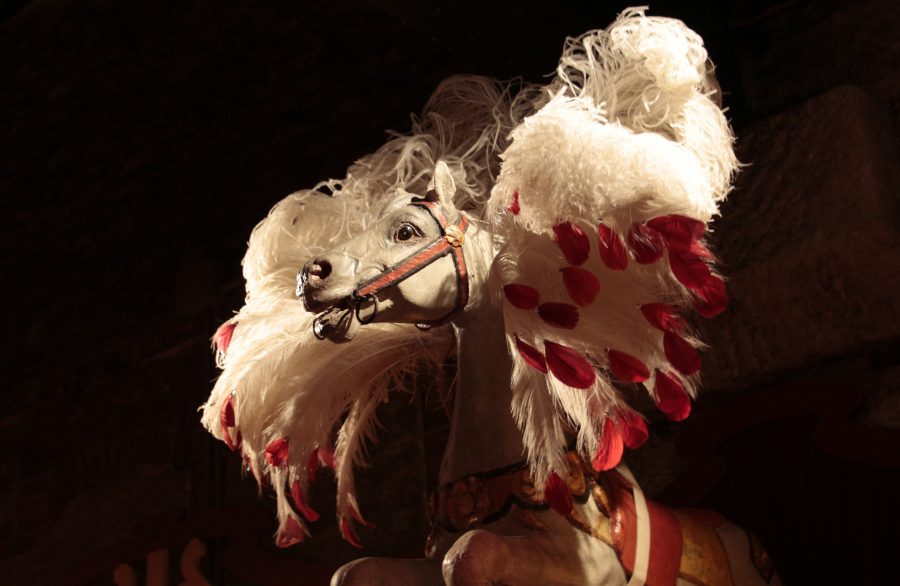 cheval et plumes